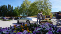 Alfa Romeo 916 Spider / GTV Treffen Österreich Mai 2019